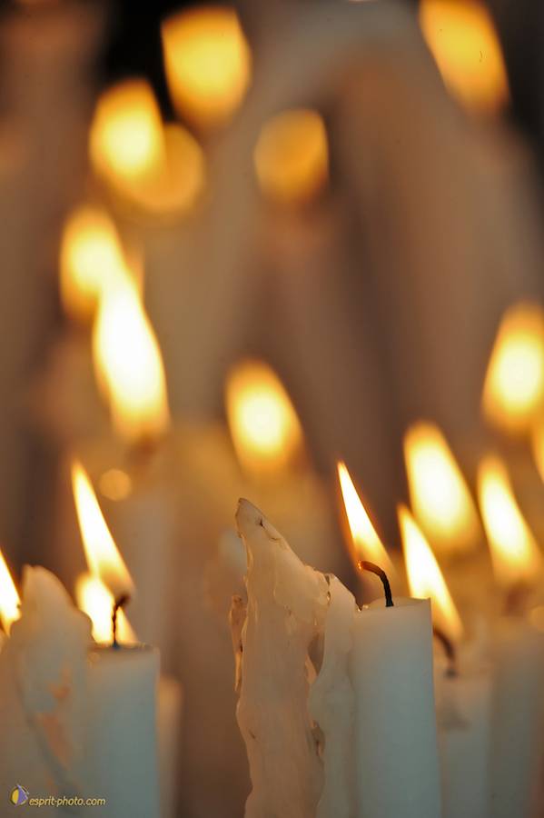 Nom de l'image : D30030332_1_(c)Norbert-JUNG — Description :